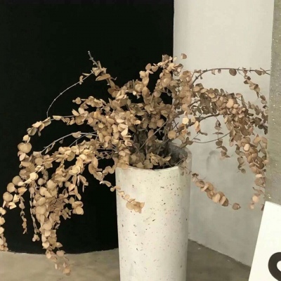 Furry数位板绘画教程福瑞交流群